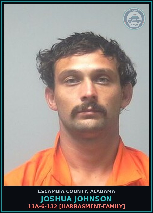 Booking mugshot of Joshua Johnson in Escambia County