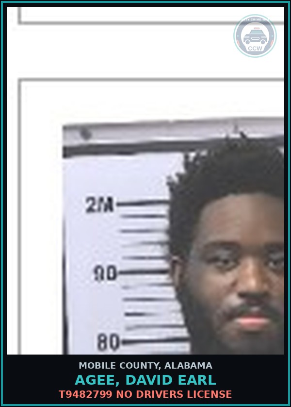 Booking mugshot of AGEE, DAVID EARL in Mobile County