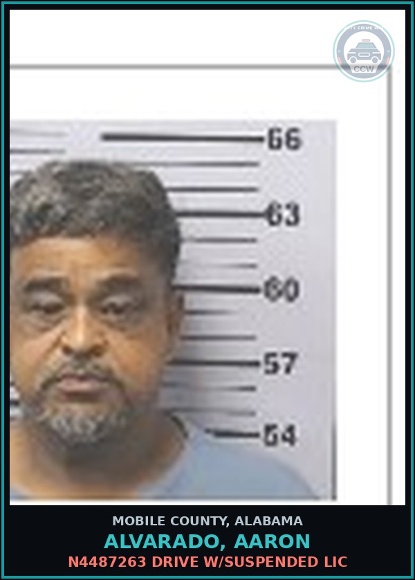 Booking mugshot of ALVARADO, AARON in Mobile County