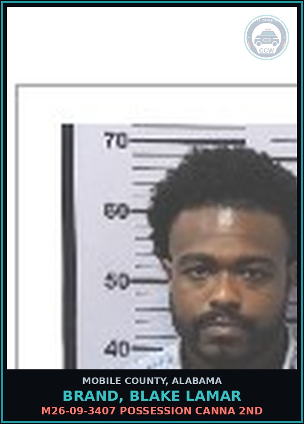 Booking mugshot of BRAND, BLAKE LAMAR in Mobile County