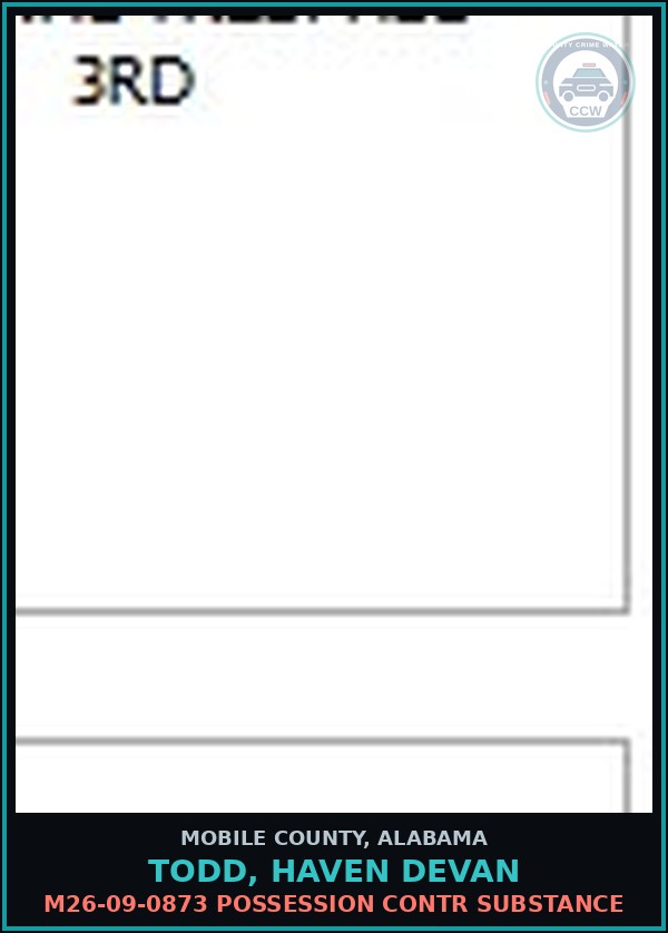Booking mugshot of TODD, HAVEN DEVAN in Mobile County