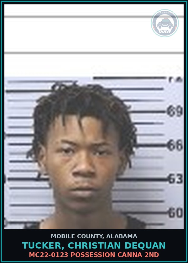 Booking mugshot of TUCKER, CHRISTIAN DEQUAN in Mobile County