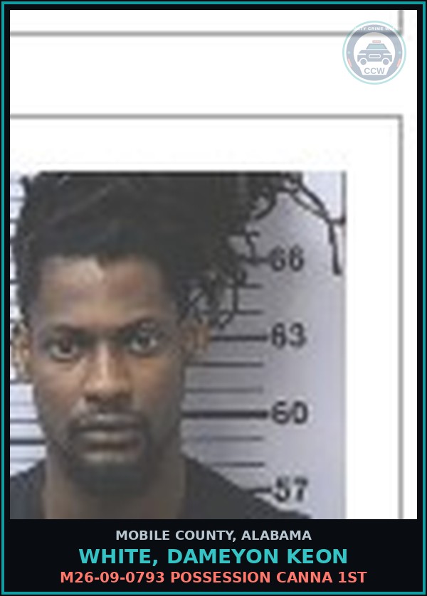 Booking mugshot of WHITE, DAMEYON KEON in Mobile County