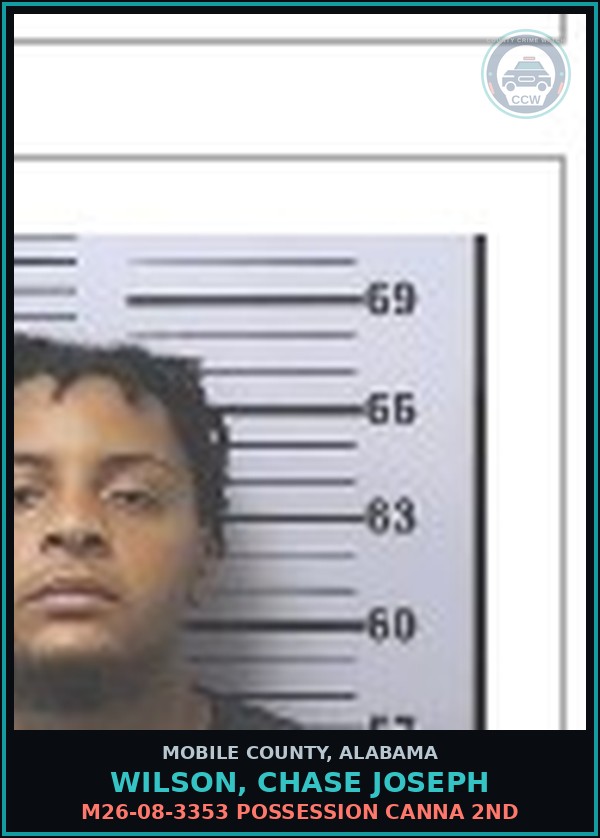 Booking mugshot of WILSON, CHASE JOSEPH in Mobile County