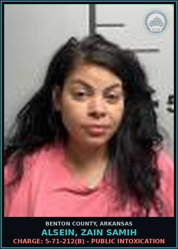 Booking mugshot of Alsein, Zain Samih in Benton County