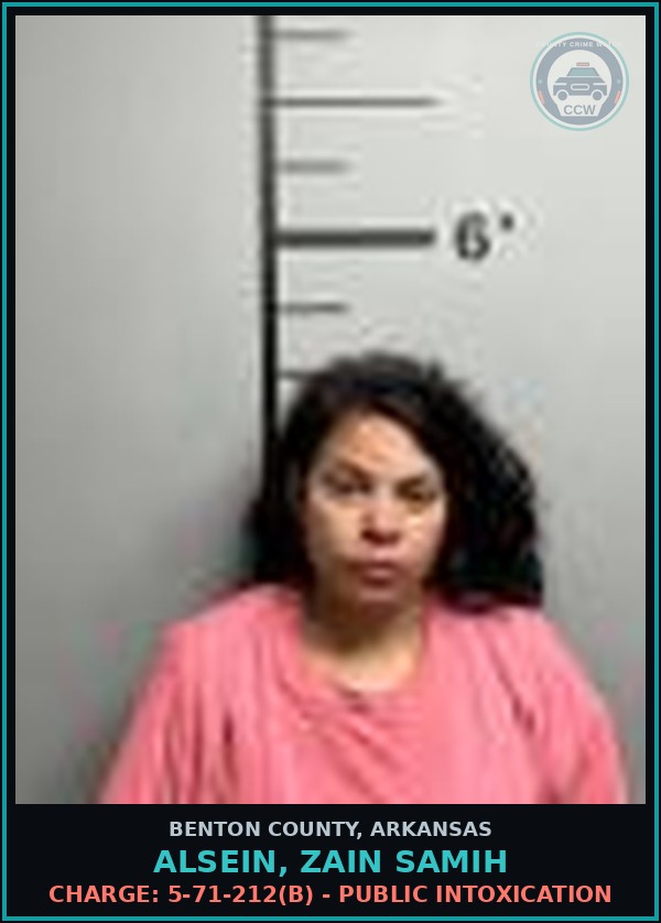 Booking mugshot of Alsein, Zain Samih in Benton County