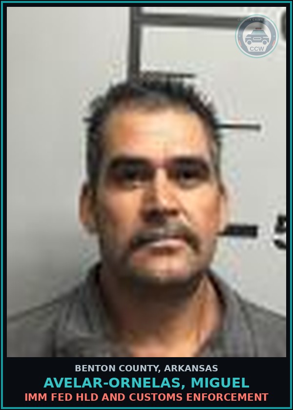Booking mugshot of Avelar-Ornelas, Miguel in Benton County