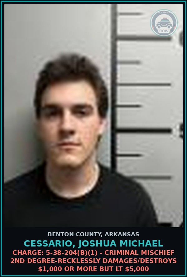 Booking mugshot of Cessario, Joshua Michael in Benton County