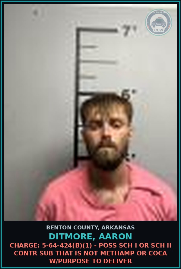 Booking mugshot of Ditmore, Aaron in Benton County