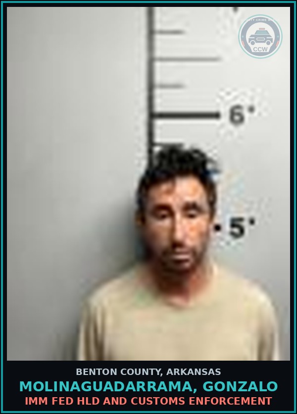 Booking mugshot of Molinaguadarrama, Gonzalo in Benton County