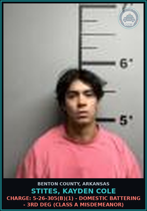 Booking mugshot of Stites, Kayden Cole in Benton County