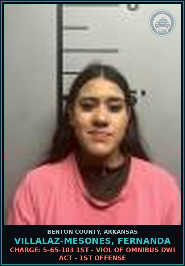 Booking mugshot of Villalaz-Mesones, Fernanda in Benton County