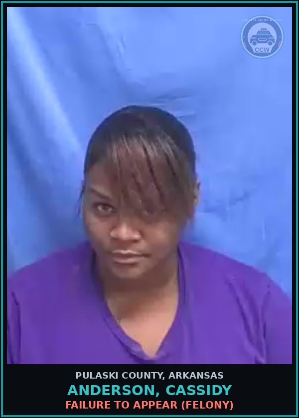 Booking mugshot of ANDERSON, CASSIDY in Pulaski County
