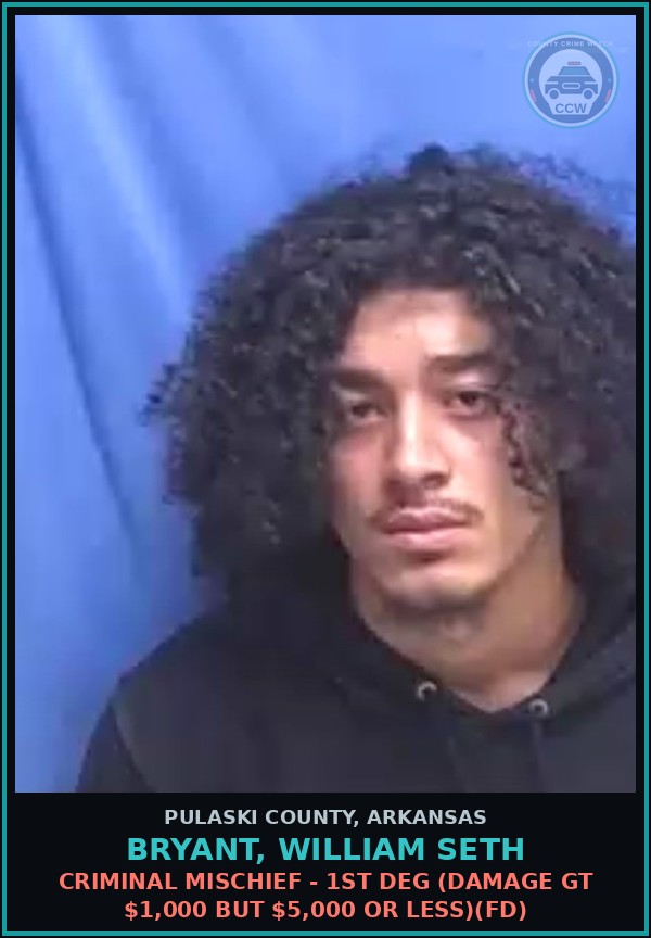 Booking mugshot of BRYANT, WILLIAM SETH in Pulaski County