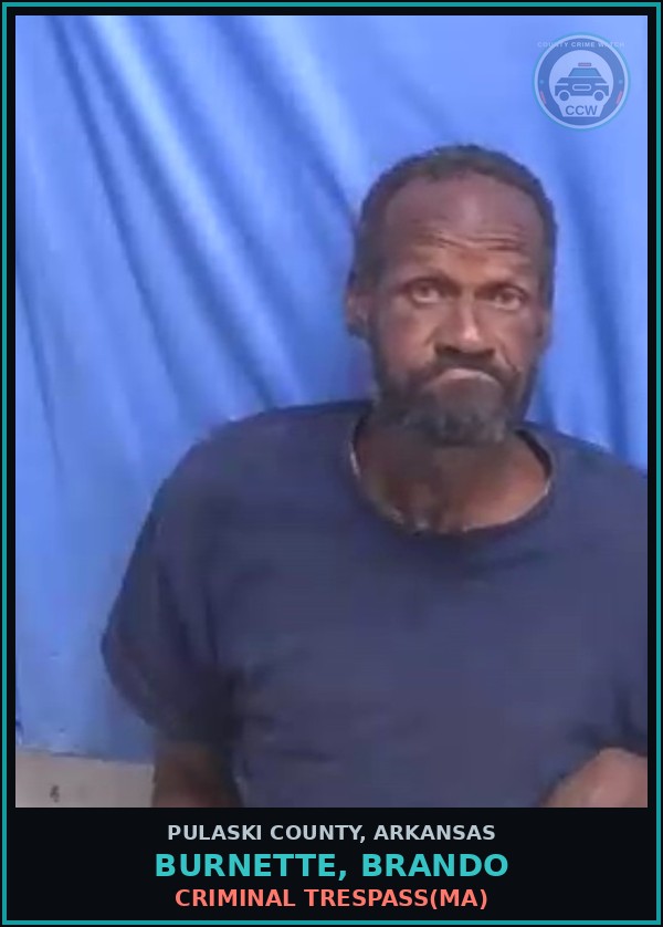 Booking mugshot of BURNETTE, BRANDO in Pulaski County