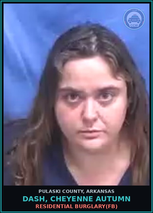 Booking mugshot of DASH, CHEYENNE AUTUMN in Pulaski County