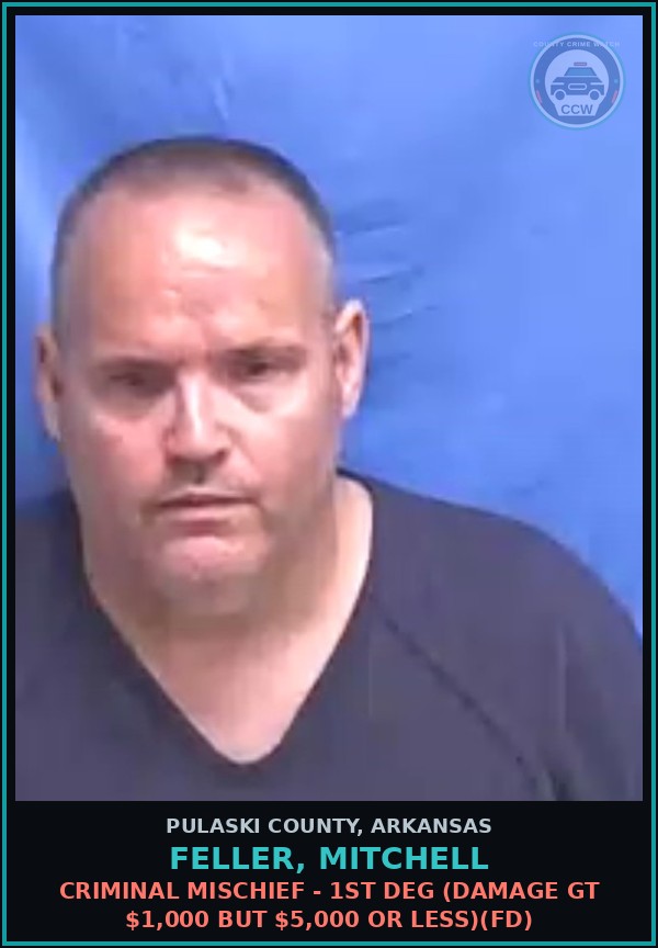 Booking mugshot of Feller, Mitchell in Pulaski County