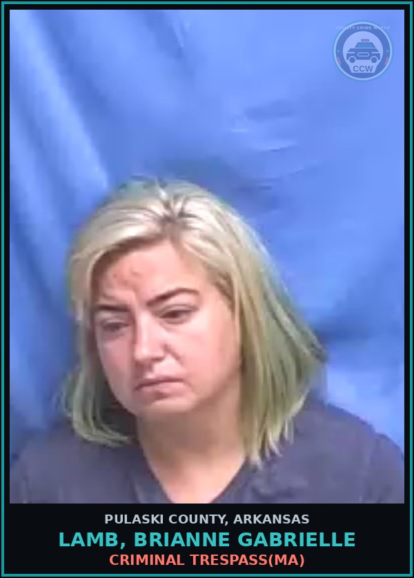 Booking mugshot of LAMB, BRIANNE GABRIELLE in Pulaski County