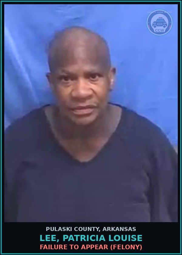 Booking mugshot of LEE, PATRICIA LOUISE in Pulaski County