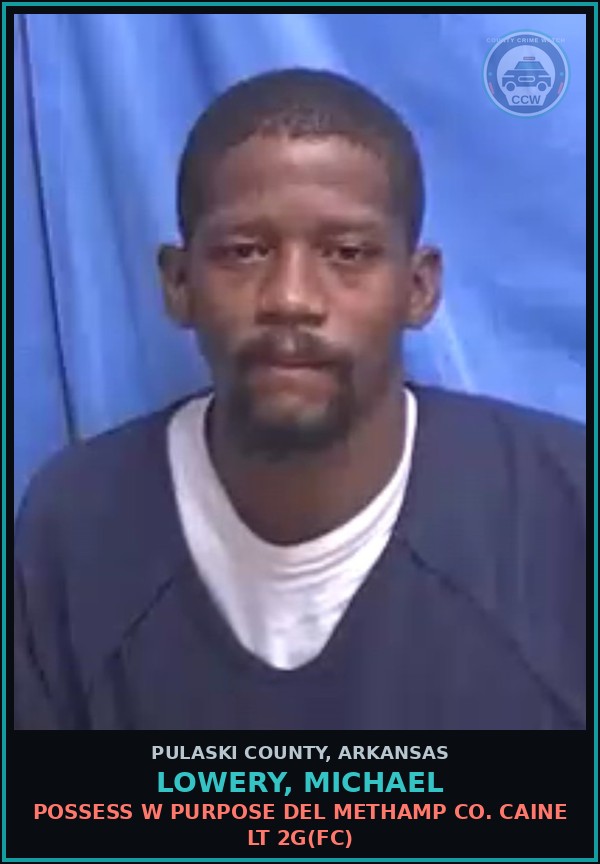 Booking mugshot of LOWERY, MICHAEL in Pulaski County