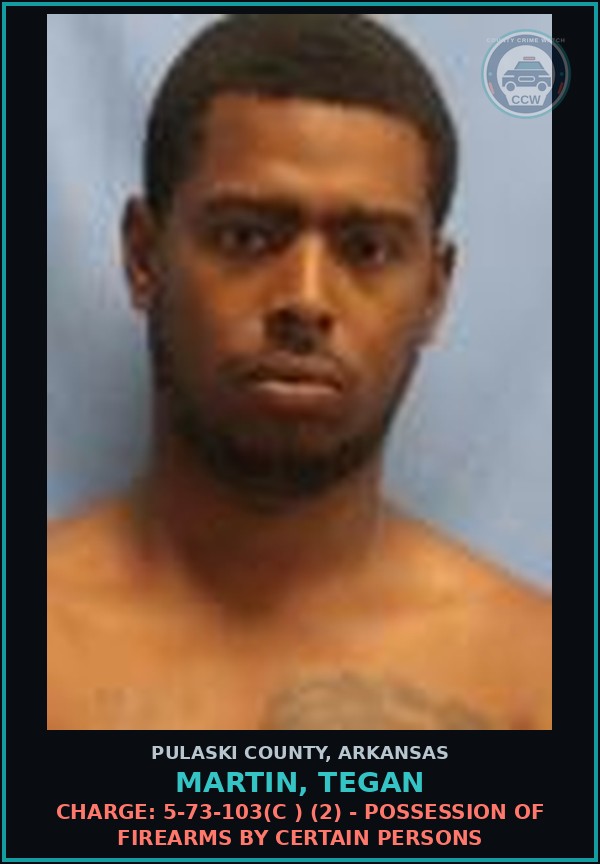 Booking mugshot of Martin, Tegan in Pulaski County