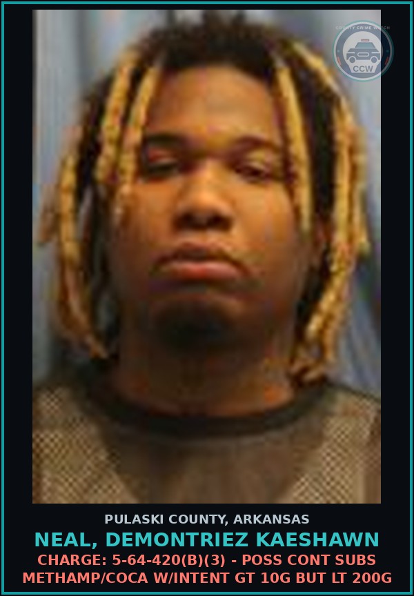 Booking mugshot of Neal, Demontriez Kaeshawn in Pulaski County