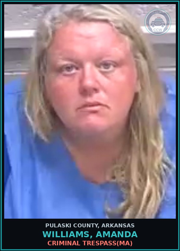 Booking mugshot of WILLIAMS, AMANDA in Pulaski County