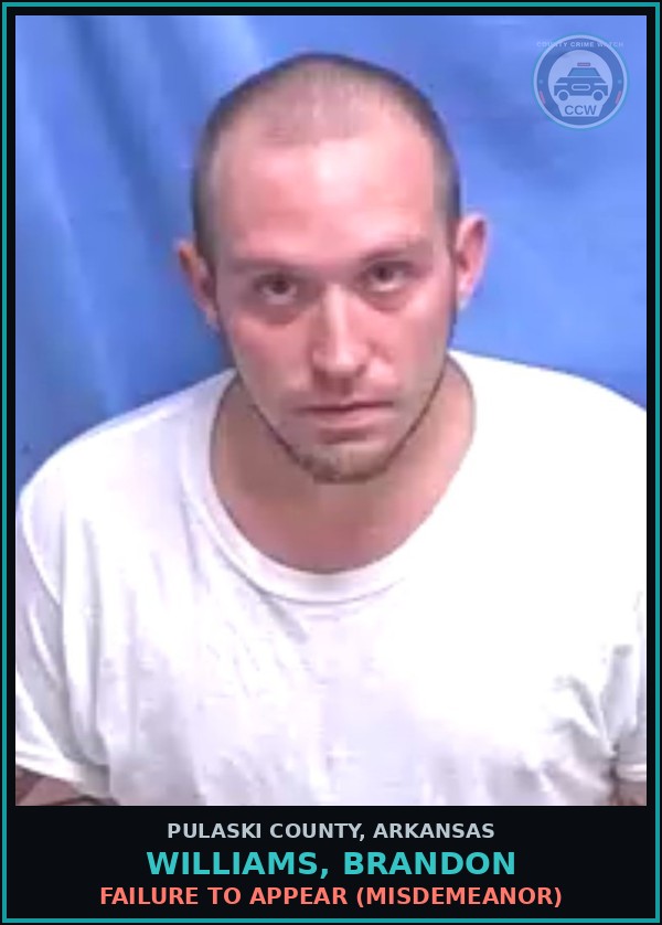 Booking mugshot of WILLIAMS, BRANDON in Pulaski County