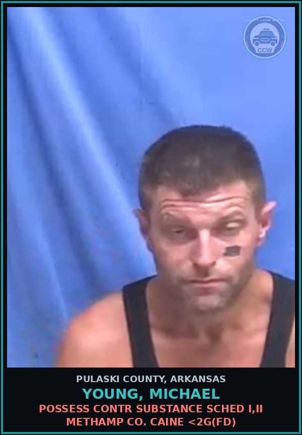 Booking mugshot of YOUNG, MICHAEL in Pulaski County