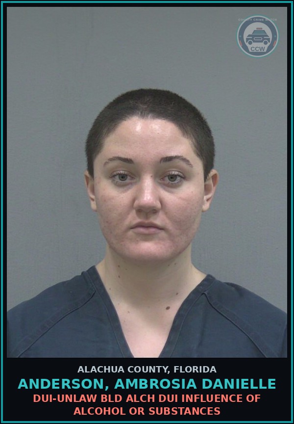 Booking mugshot of ANDERSON, AMBROSIA DANIELLE in Alachua County
