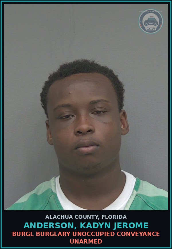 Booking mugshot of ANDERSON, KADYN JEROME in Alachua County