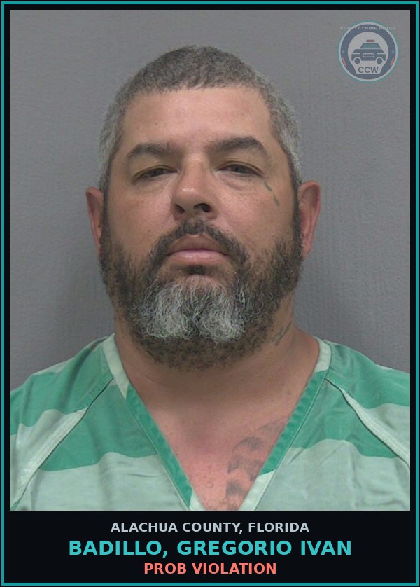 Booking mugshot of BADILLO, GREGORIO IVAN in Alachua County