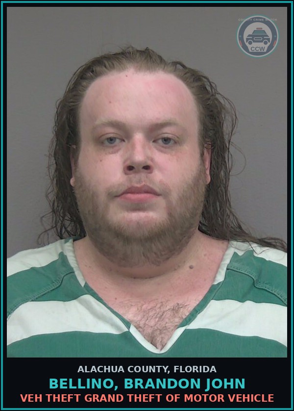 Booking mugshot of BELLINO, BRANDON JOHN in Alachua County
