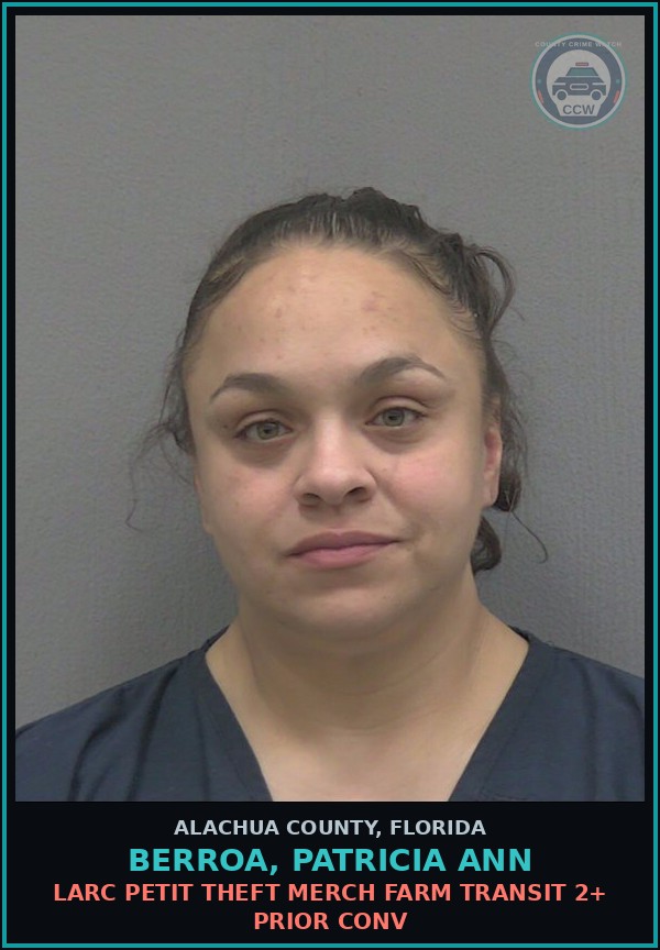 Booking mugshot of BERROA, PATRICIA ANN in Alachua County