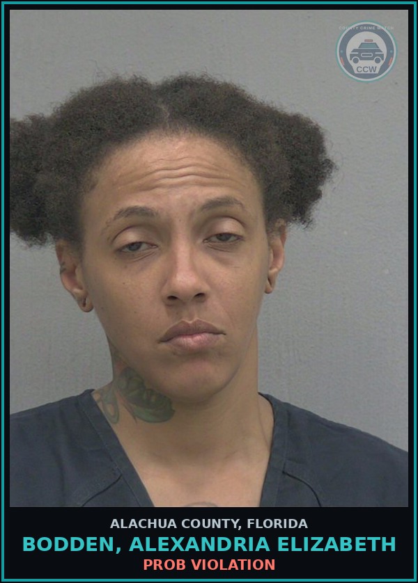 Booking mugshot of BODDEN, ALEXANDRIA ELIZABETH in Alachua County