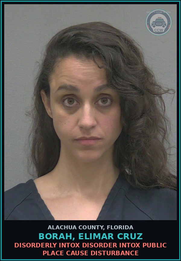 Booking mugshot of BORAH, ELIMAR CRUZ in Alachua County