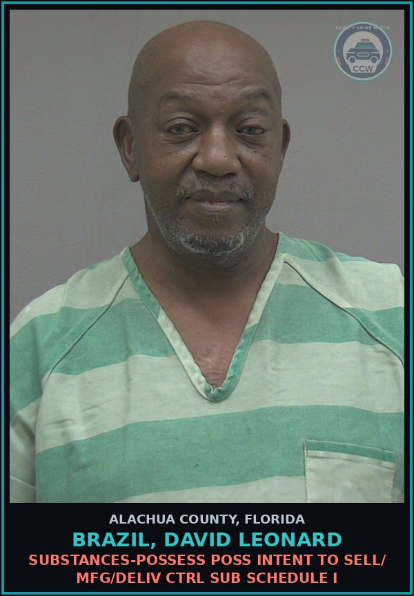 Booking mugshot of BRAZIL, DAVID LEONARD in Alachua County