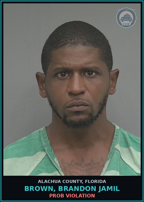 Booking mugshot of BROWN, BRANDON JAMIL in Alachua County
