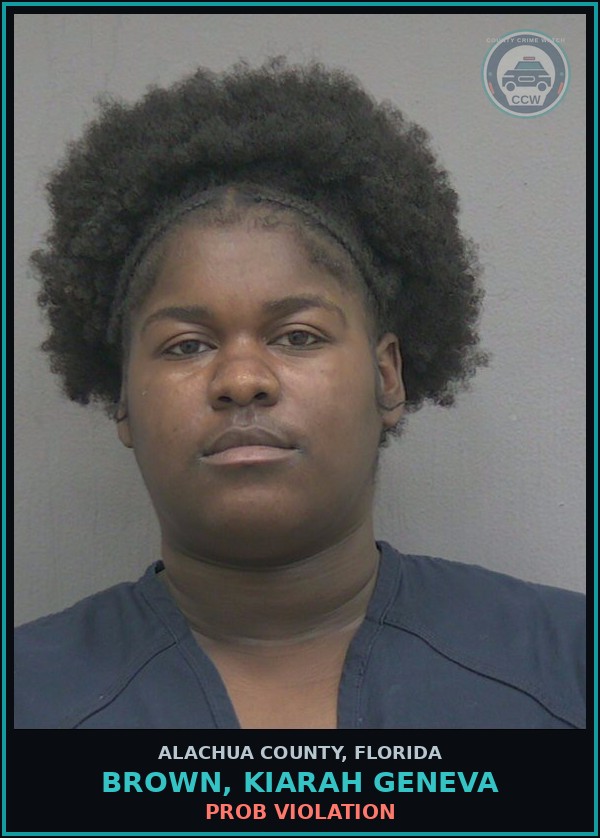 Booking mugshot of BROWN, KIARAH GENEVA in Alachua County