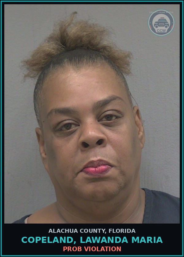 Booking mugshot of COPELAND, LAWANDA MARIA in Alachua County