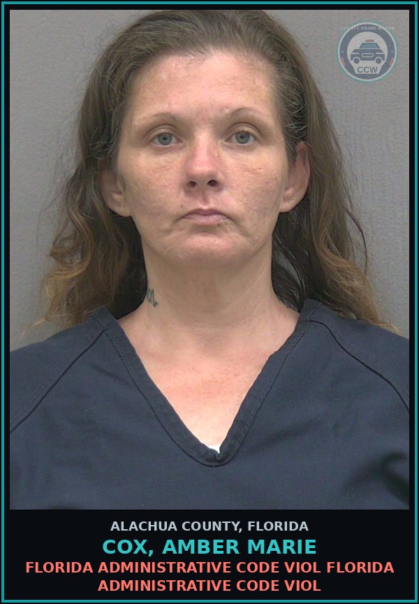 Booking mugshot of COX, AMBER MARIE in Alachua County