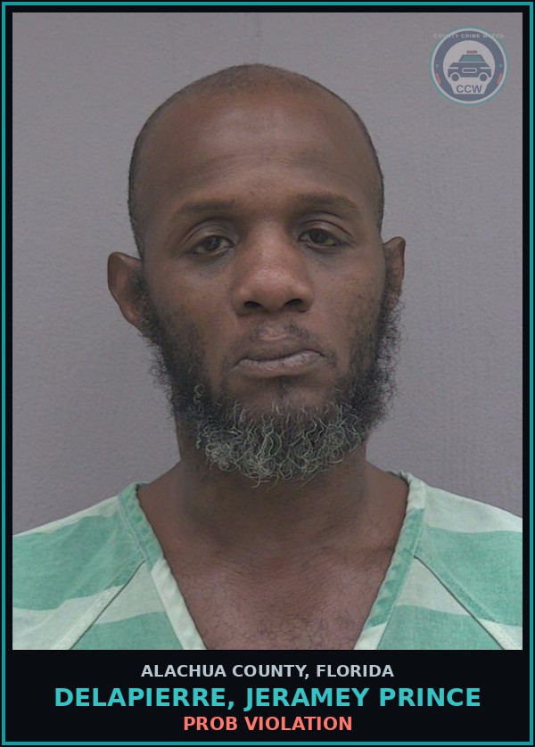 Booking mugshot of DELAPIERRE, JERAMEY PRINCE in Alachua County