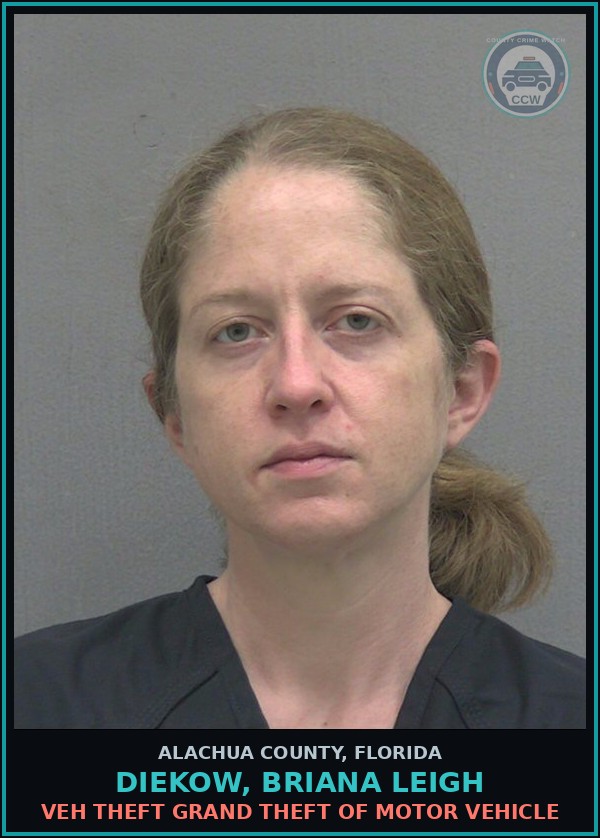 Booking mugshot of DIEKOW, BRIANA LEIGH in Alachua County