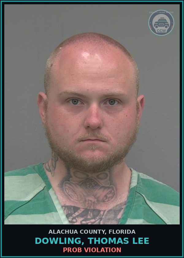 Booking mugshot of DOWLING, THOMAS LEE in Alachua County