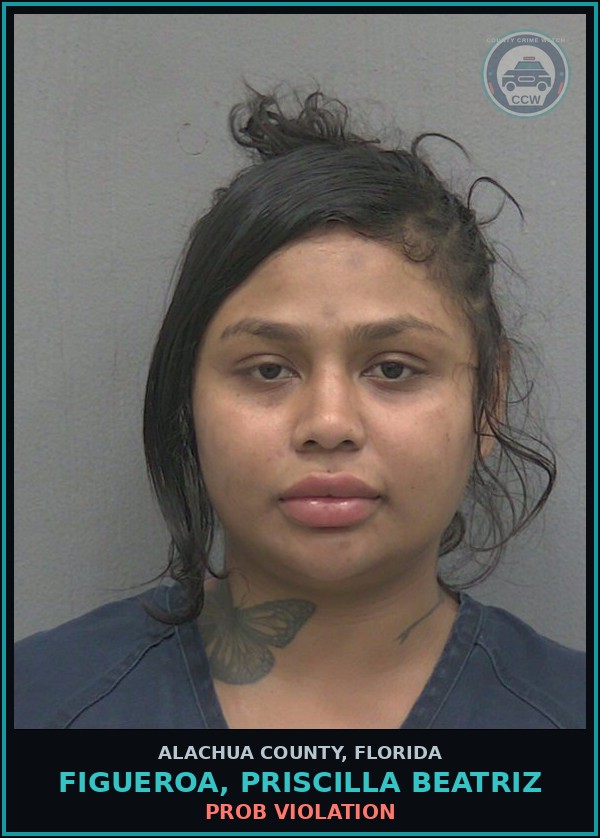 Booking mugshot of FIGUEROA, PRISCILLA BEATRIZ in Alachua County
