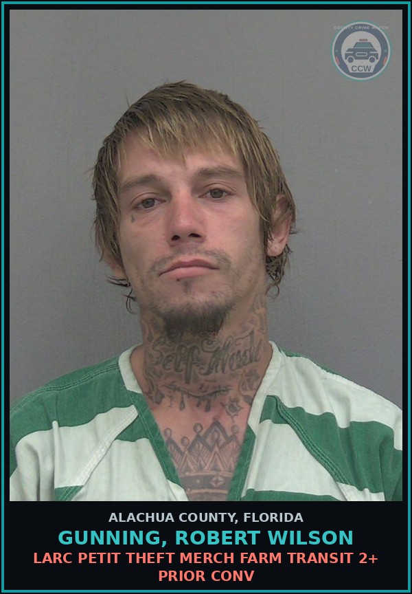Booking mugshot of GUNNING, ROBERT WILSON in Alachua County