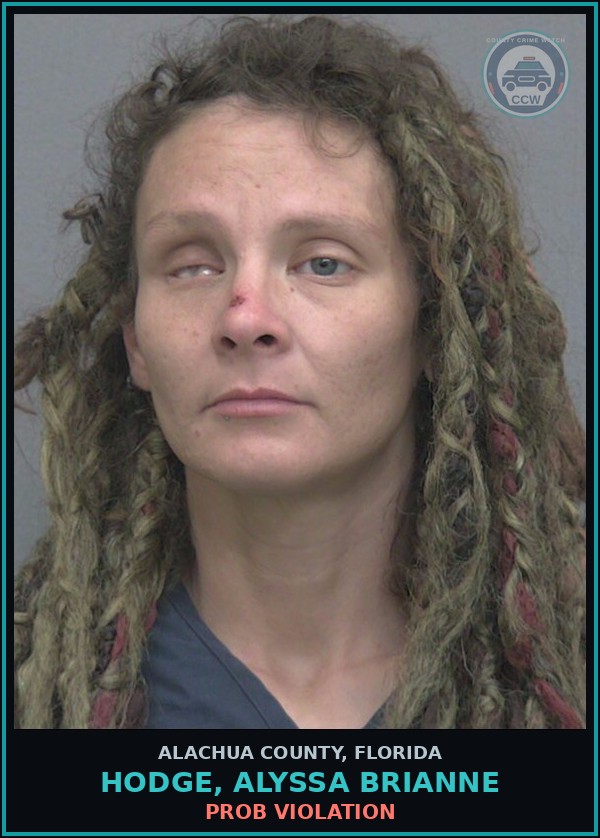 Booking mugshot of HODGE, ALYSSA BRIANNE in Alachua County