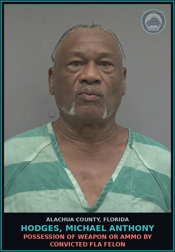 Booking mugshot of HODGES, MICHAEL ANTHONY in Alachua County