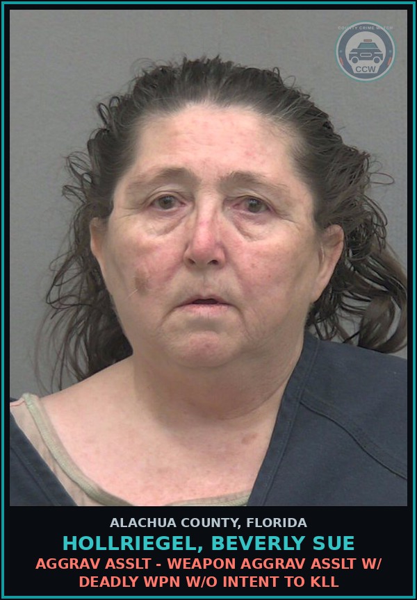 Booking mugshot of HOLLRIEGEL, BEVERLY SUE in Alachua County