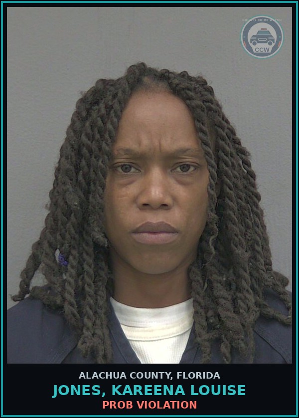 Booking mugshot of JONES, KAREENA LOUISE in Alachua County